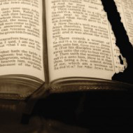 Bibliófilos e Bibliófobos